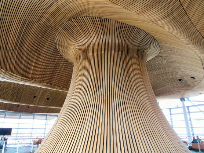 Senedd Ceiling