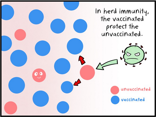 Herd Immunity